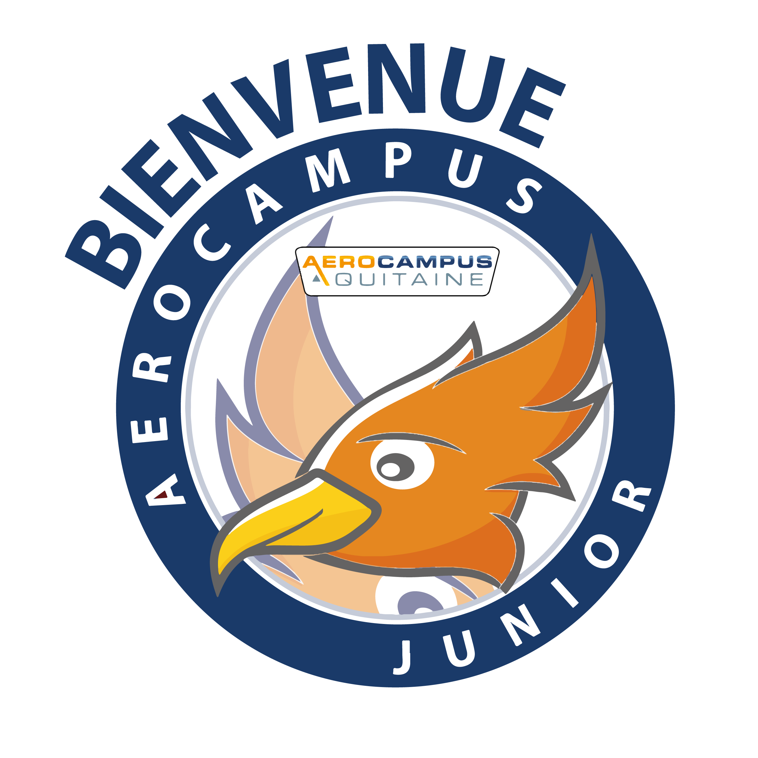 Logo AEROCAMPUS Junior Page Accueil Site Web 01