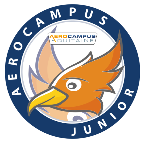 AEROCAMPUS Junior – Stage Aéromodélisme & Drone