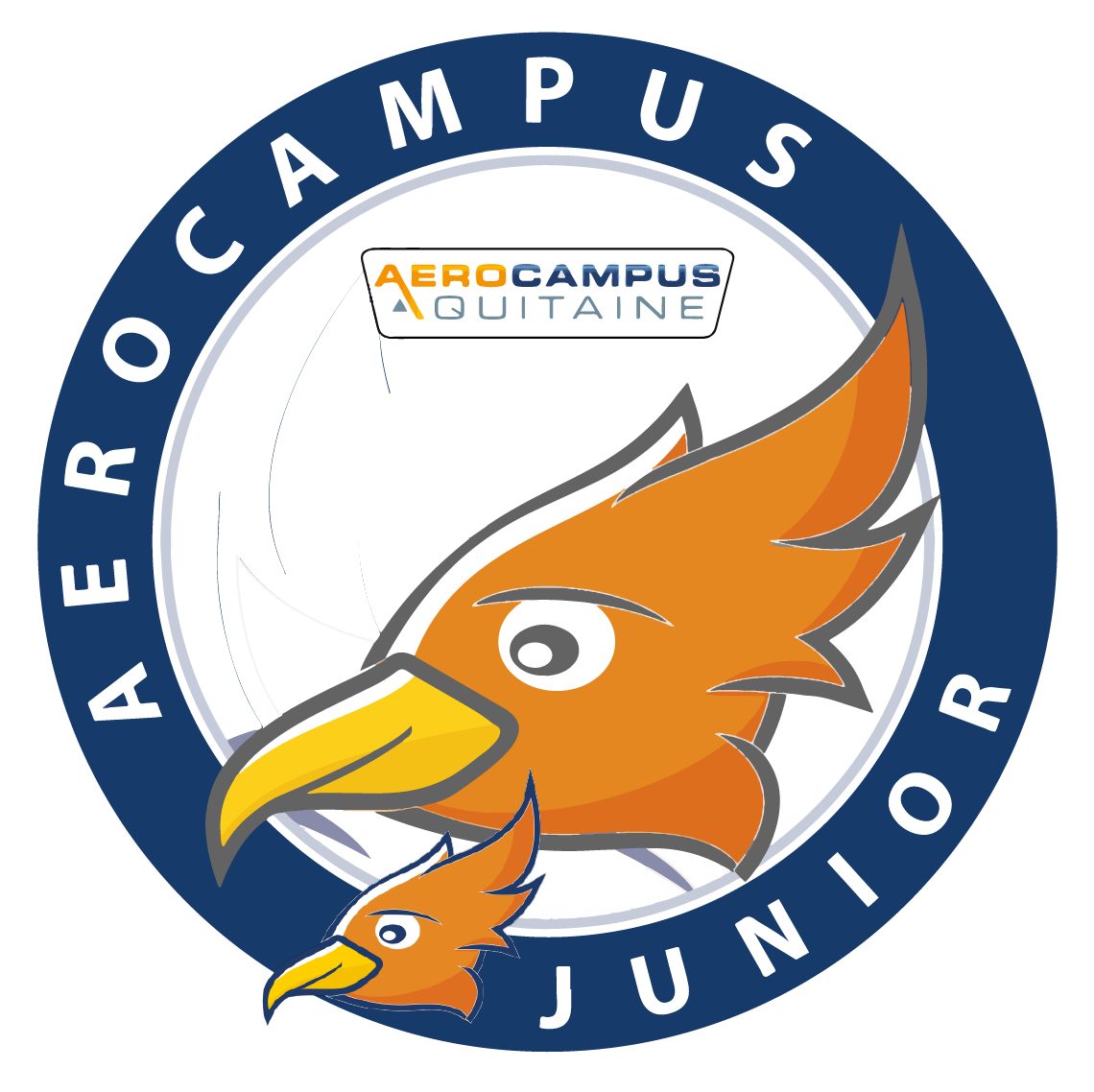 AEROCAMPUS JUNIOR – Tandem : Animation Adulte/Enfant