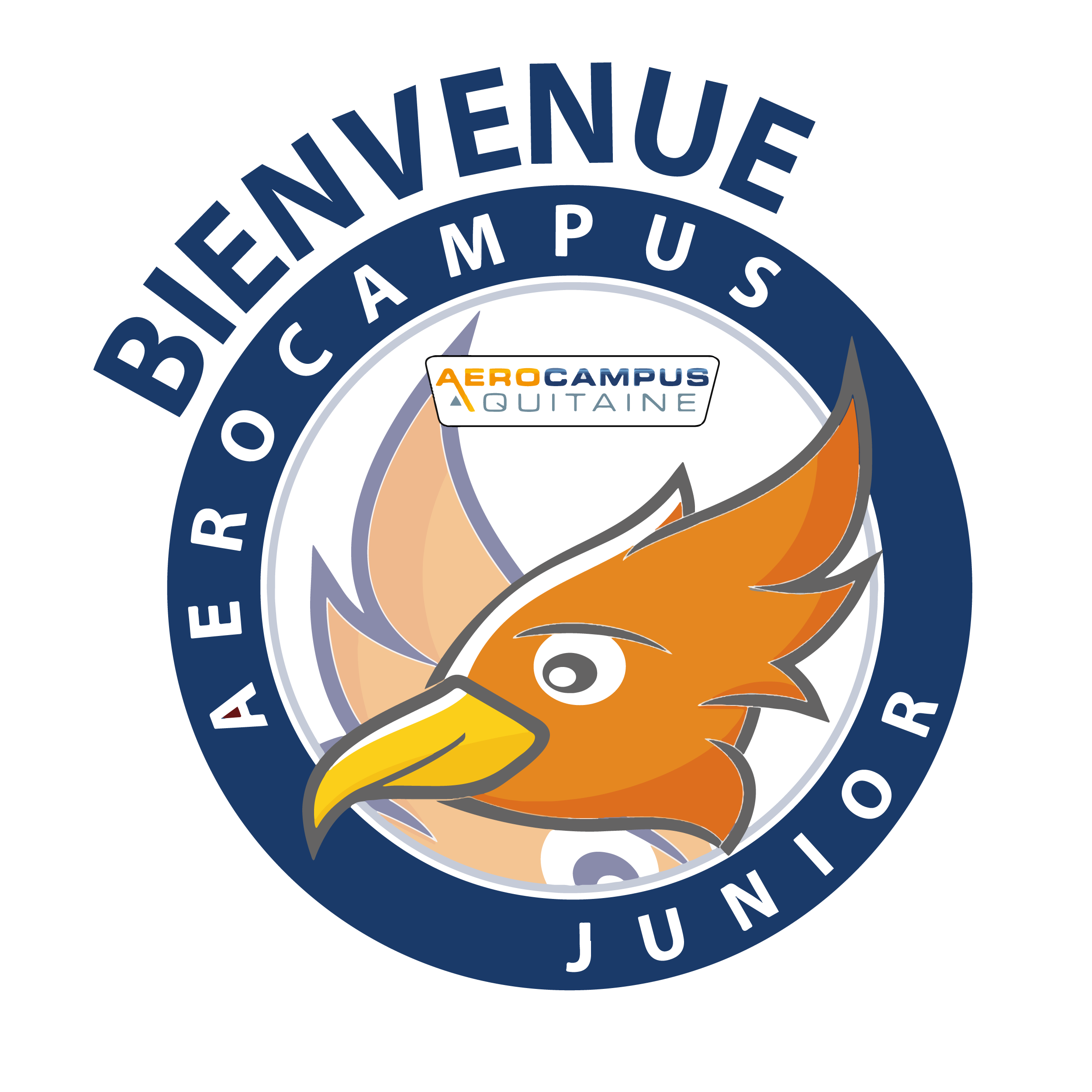 AEROCAMPUS Junior – PRÉSENTATION ET PLANNING