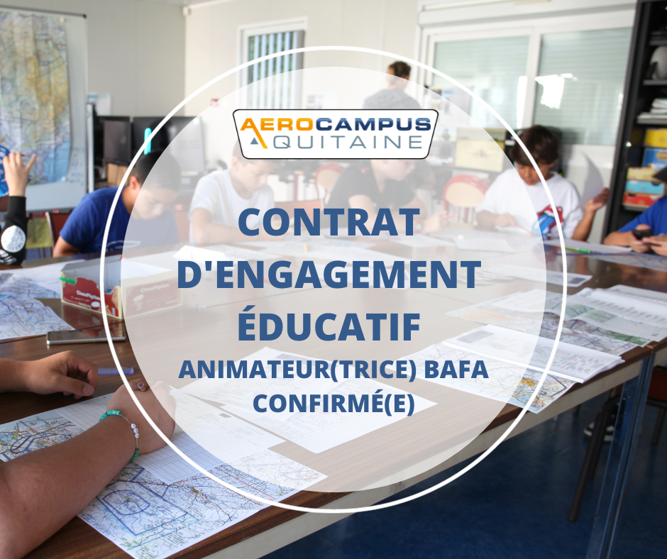 ANIMATEUR(TRICE) BAFA CONFIRME(E)