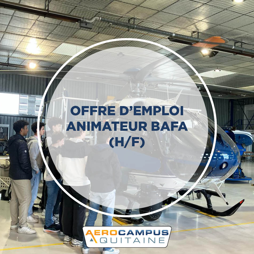 ANIMATEUR(TRICE) BAFA H/F